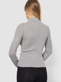 Водолазка Ager модель У-1130711::000000069 Фото