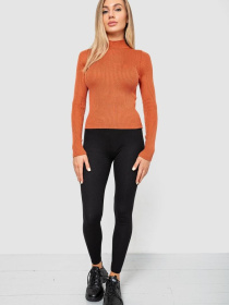 Водолазка Ager модель У-1130711::000000092 Фото