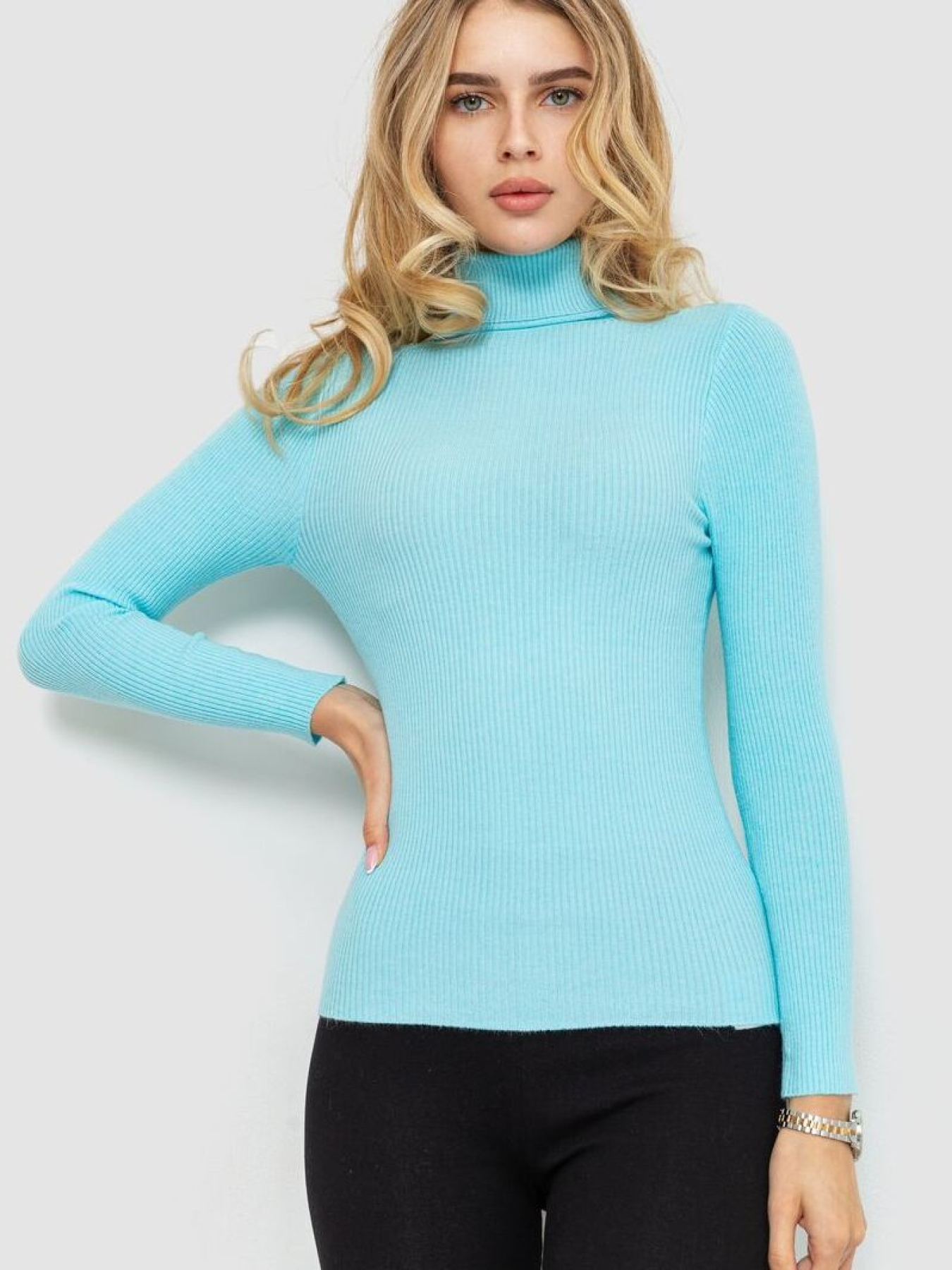 Водолазка Ager модель У-1121085::000000028 Фото