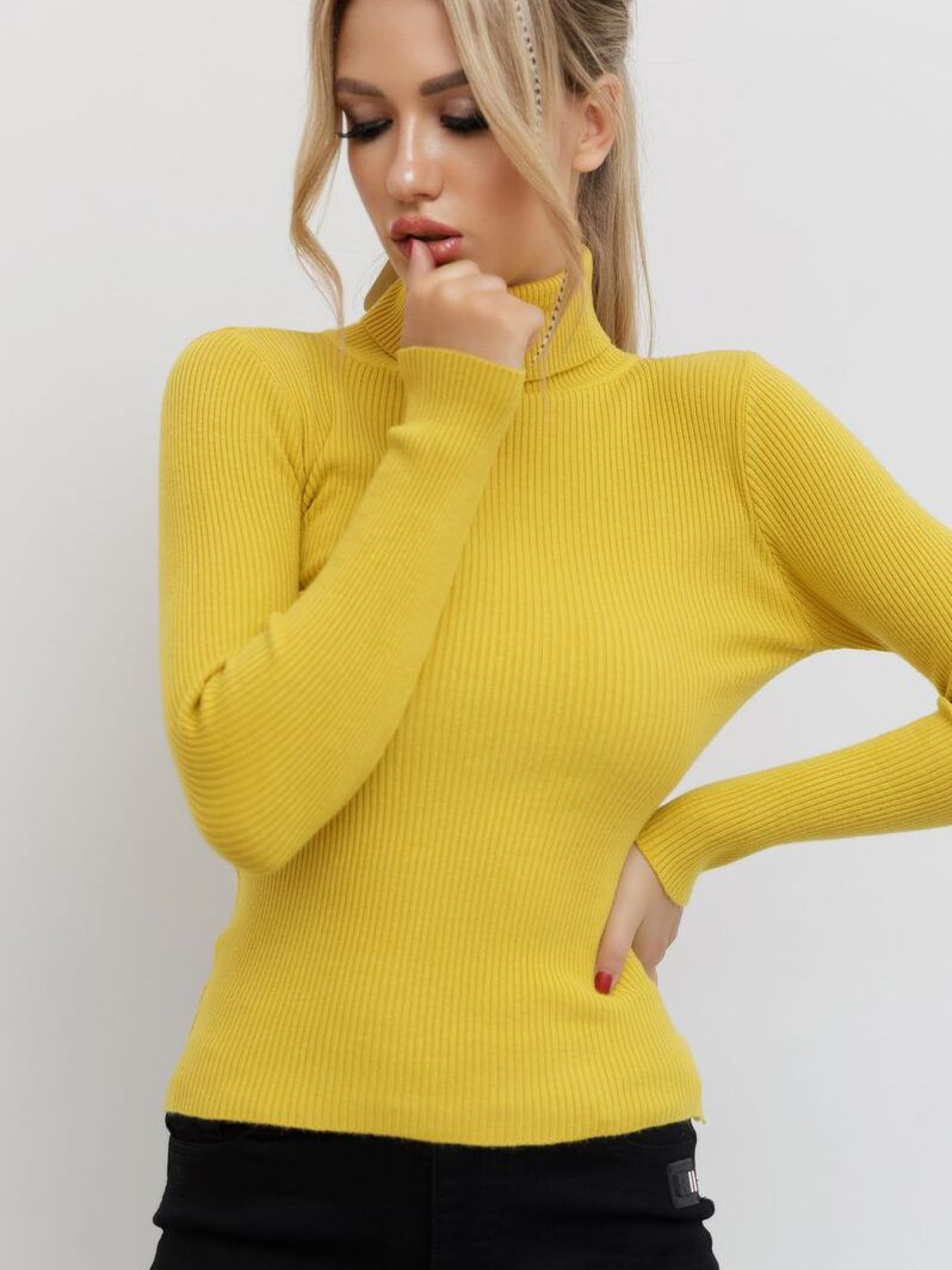 Водолазка Ager модель У-1121085::000000036 Фото