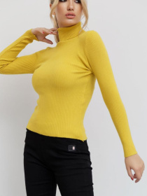 Водолазка Ager модель У-1121085::000000036 Фото