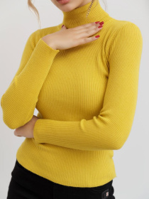 Водолазка Ager модель У-1121085::000000036 Водолазка Ager модель У-1121085::000000036 Фото