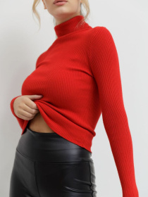 Водолазка Ager модель У-1121085::000000050 Фото