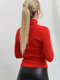 Водолазка Ager модель У-1121085::000000050 Фото