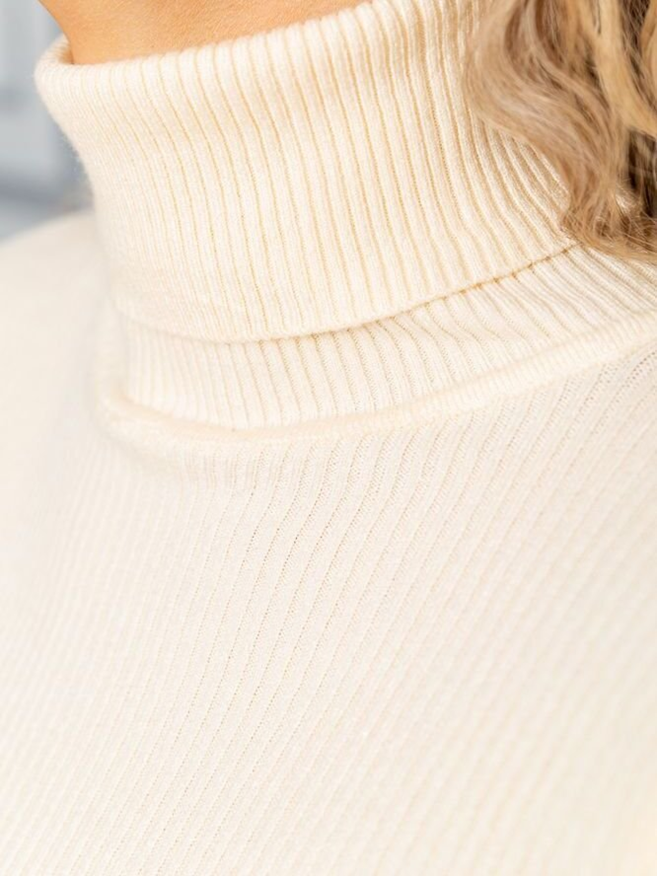 Водолазка Ager модель У-1121085::010002075 Фото