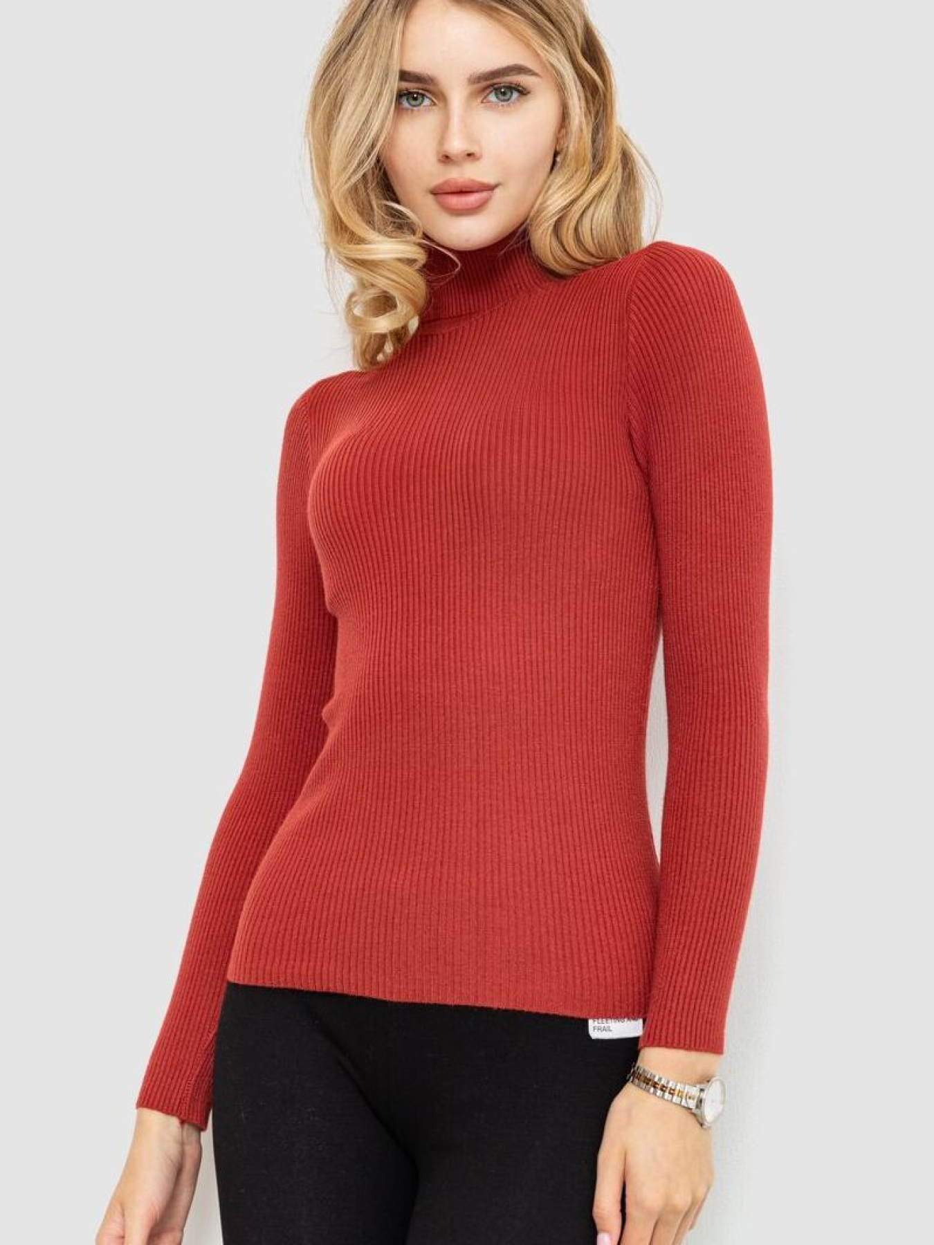 Водолазка Ager модель У-1121085::000000238 Фото