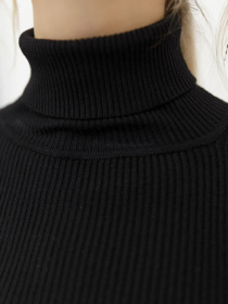 Водолазка Ager модель У-1121085::000000096 Фото