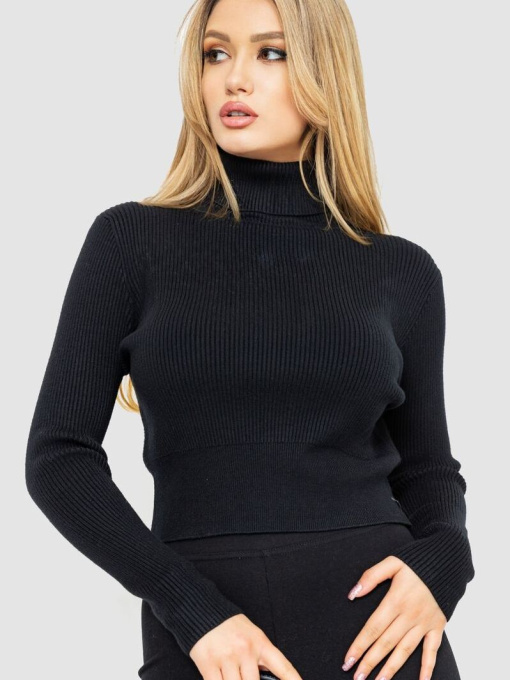 Водолазка Ager модель У-1127237::000000096 Фото