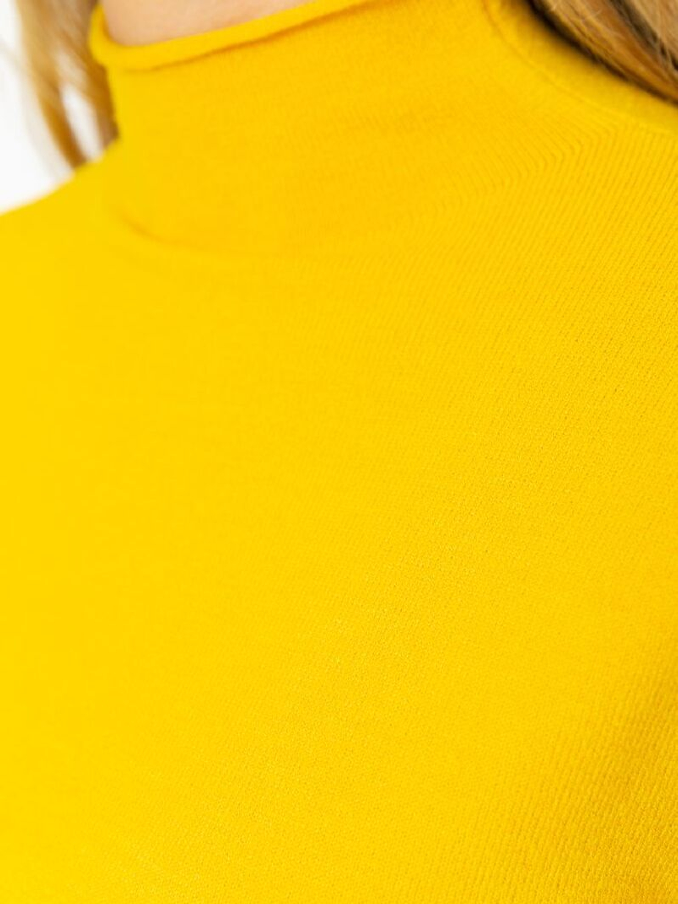 Водолазка Ager модель У-1121637::000000039 Фото