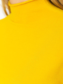 Водолазка Ager модель У-1121637::000000039 Фото