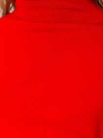 Водолазка Ager модель У-1121637::000000050 Фото