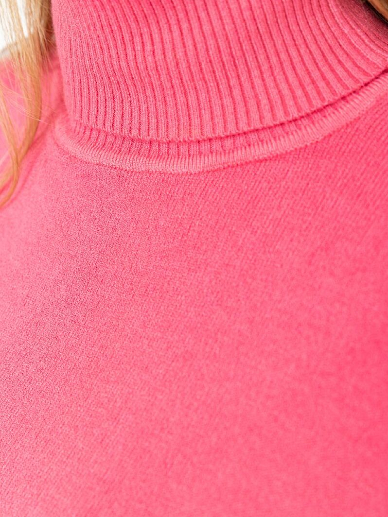 Водолазка Ager модель У-1121638::000000065 Фото