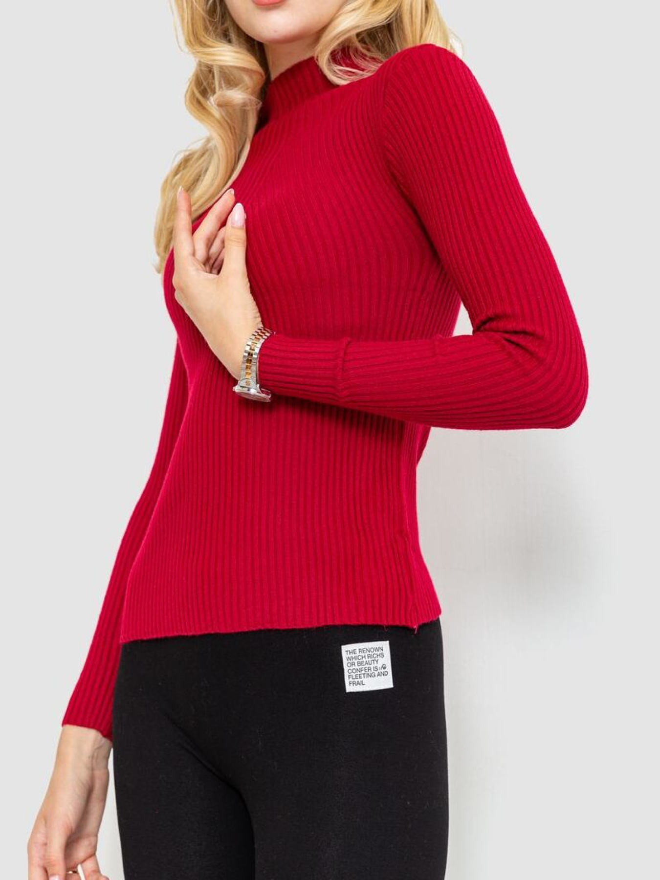 Водолазка Ager модель У-1125406::000000029 Водолазка Ager модель У-1125406::000000029 Фото