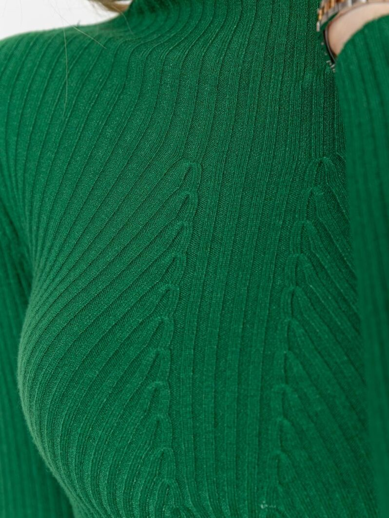 Водолазка Ager модель У-1125406::000000040 Фото