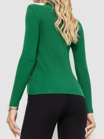 Водолазка Ager модель У-1125406::000000040 Фото