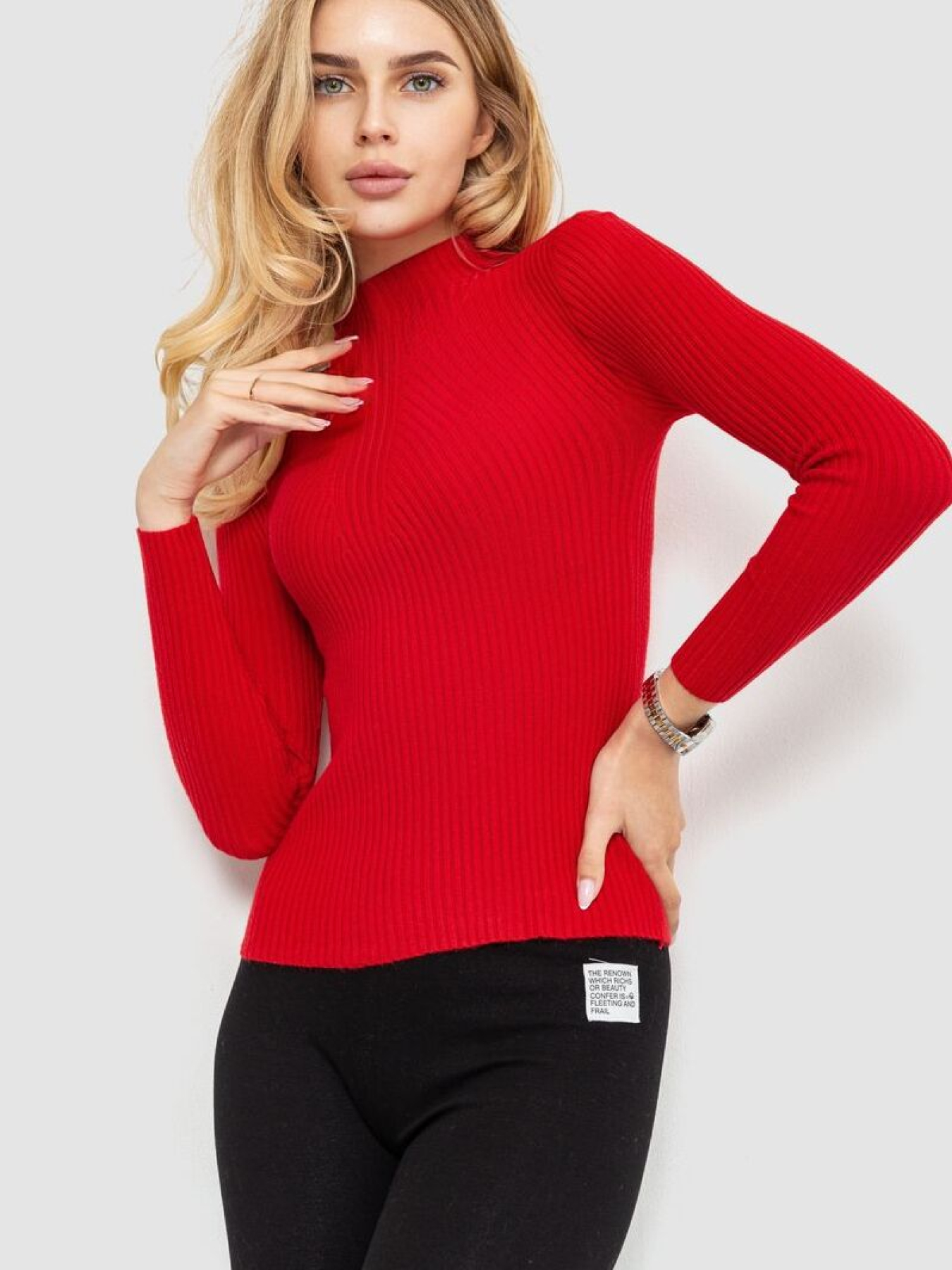 Водолазка Ager модель У-1125406::000000050 Фото