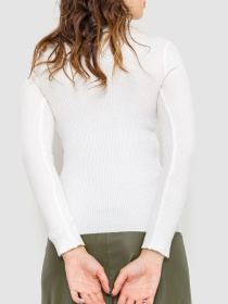 Водолазка Ager модель У-1125408::000000014 Фото