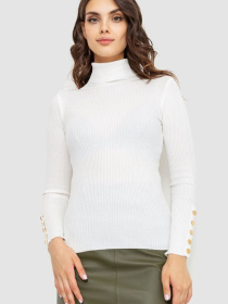 Водолазка Ager модель У-1125408::000000014 Фото