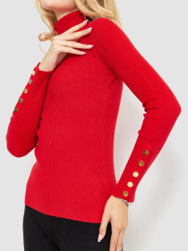 Водолазка Ager модель У-1125408::000000050 Фото