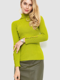 Водолазка Ager модель У-1125408::000000158 Фото