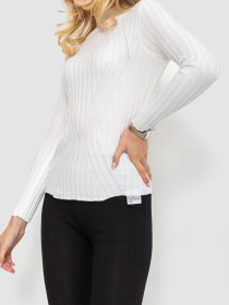 Водолазка Ager модель У-1125413::000000014 Фото