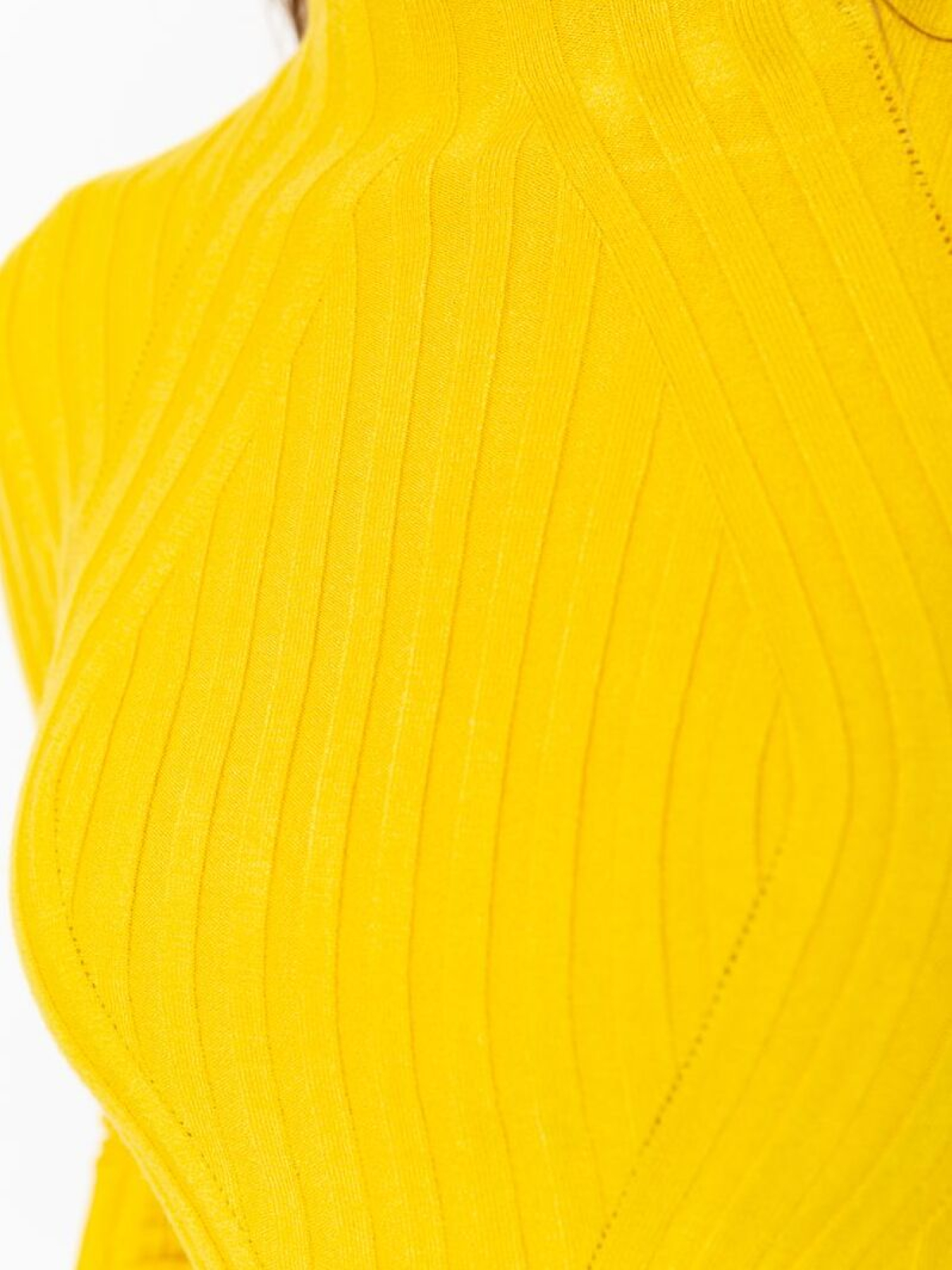 Водолазка Ager модель У-1125413::000000036 Фото