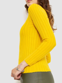 Водолазка Ager модель У-1125413::000000036 Водолазка Ager модель У-1125413::000000036 Фото