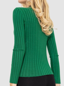 Водолазка Ager модель У-1125413::000000040 Фото