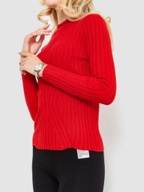 Водолазка Ager модель У-1125413::000000050 Фото