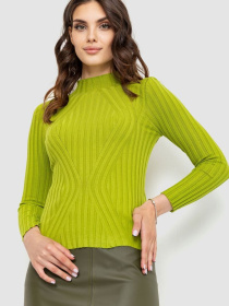 Водолазка Ager модель У-1125413::000000158 Фото