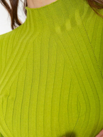 Водолазка Ager модель У-1125413::000000158 Фото