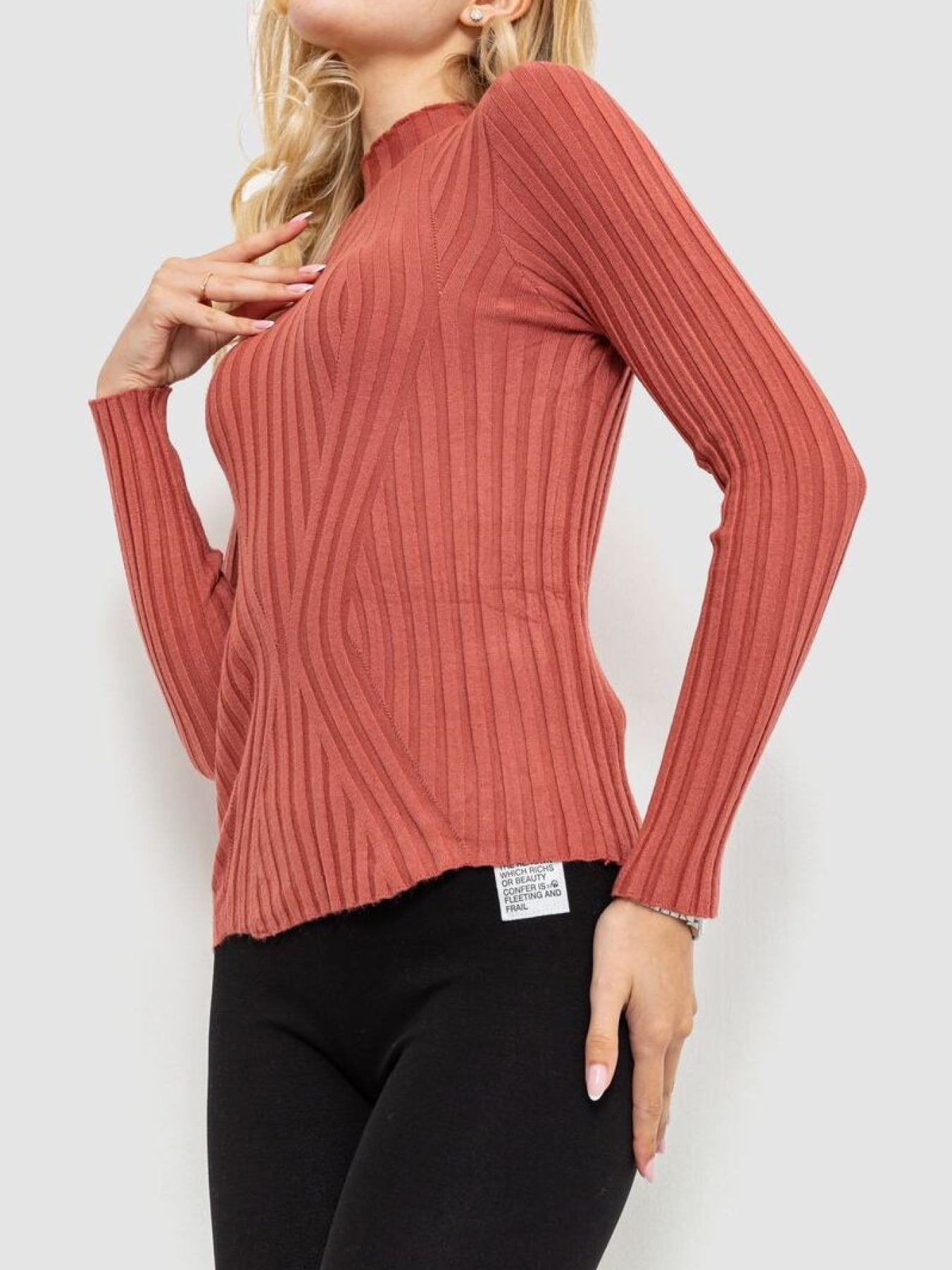 Водолазка Ager модель У-1125413::000000238 Фото