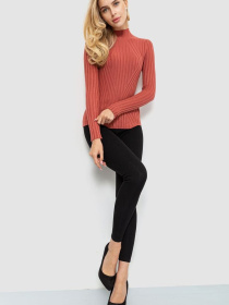 Водолазка Ager модель У-1125413::000000238 Водолазка Ager модель У-1125413::000000238 Фото