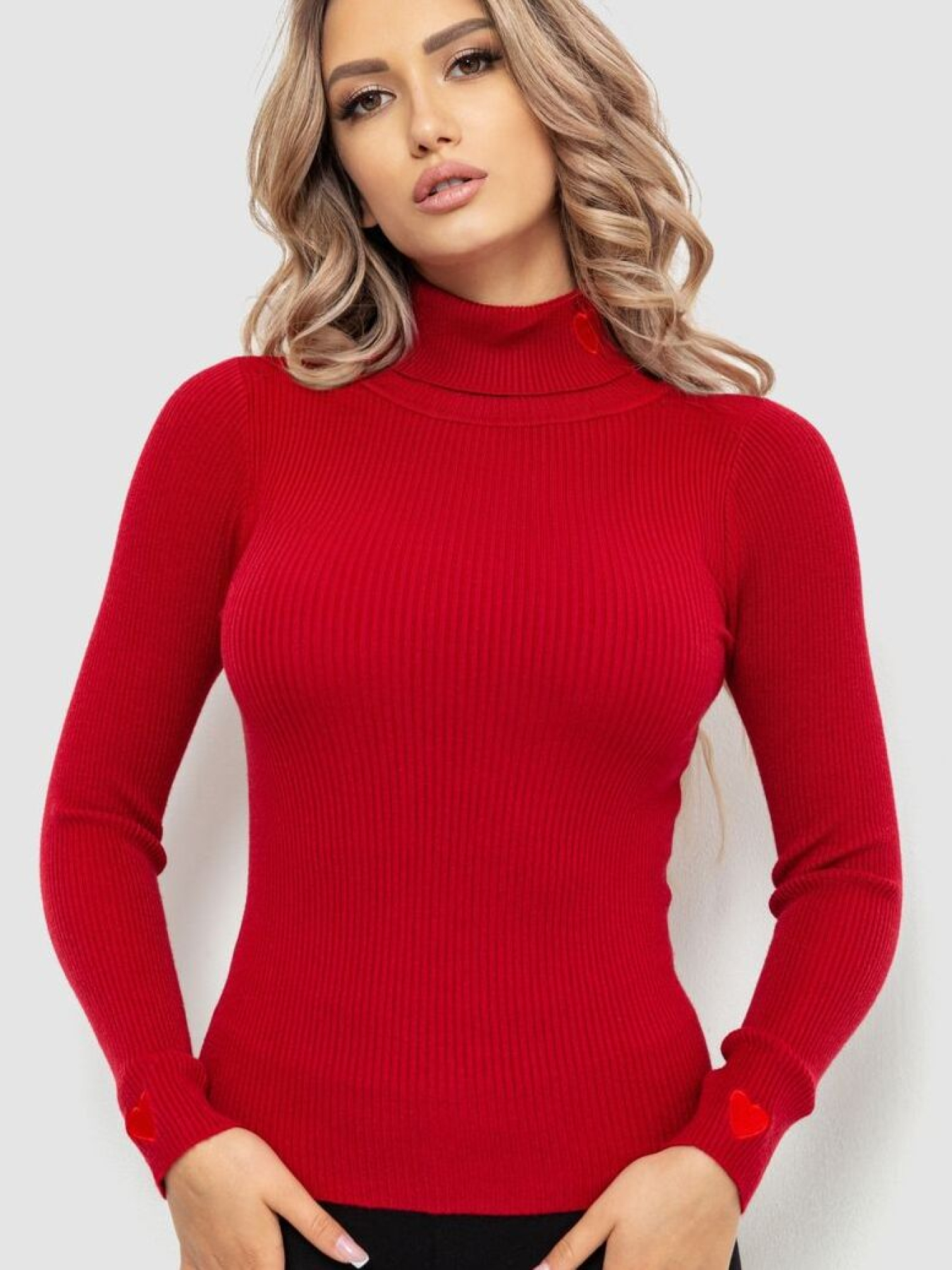 Водолазка Ager модель У-1126212::000000029 Фото