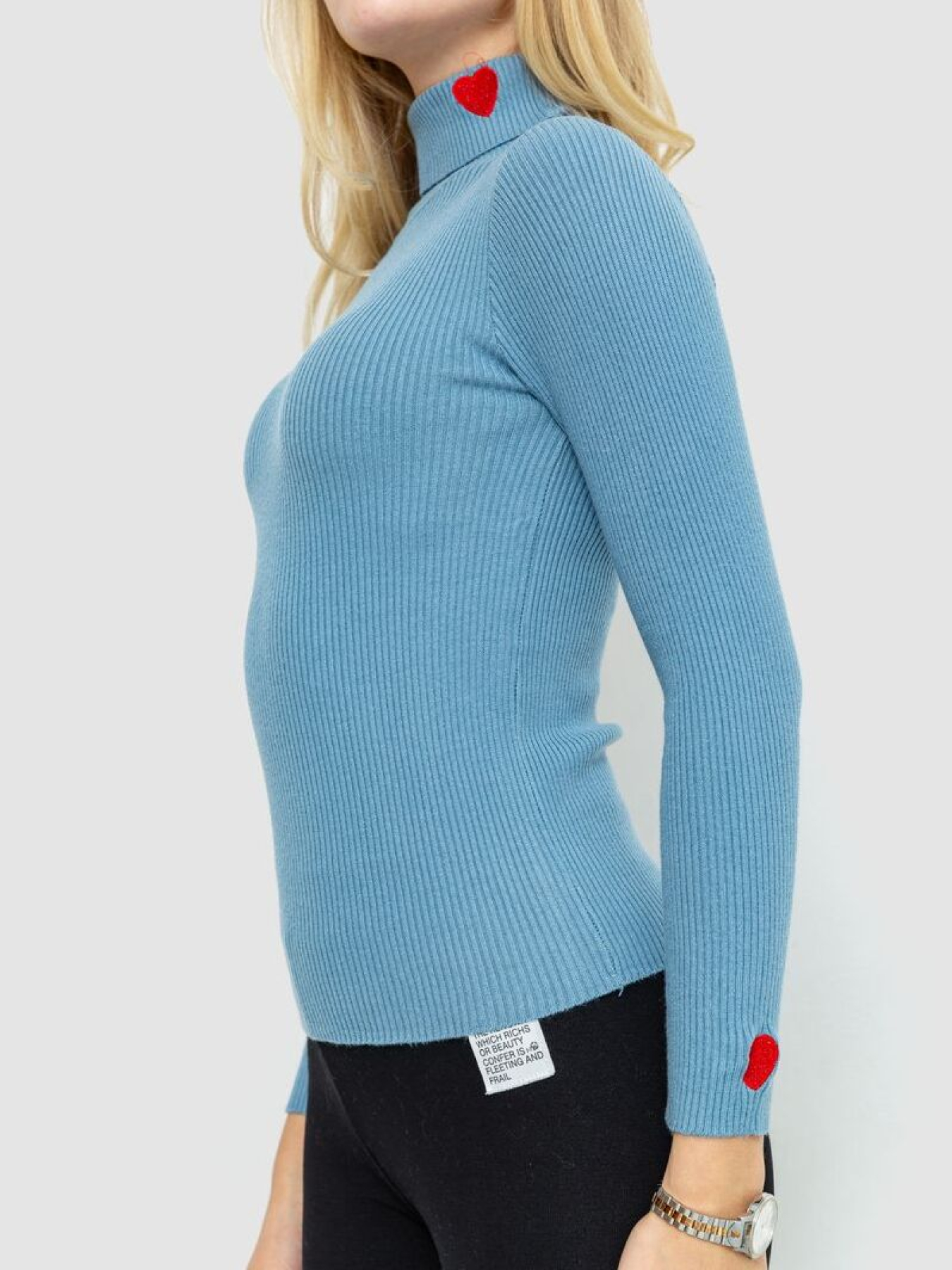 Водолазка Ager модель У-1126212::У-0002878 Фото