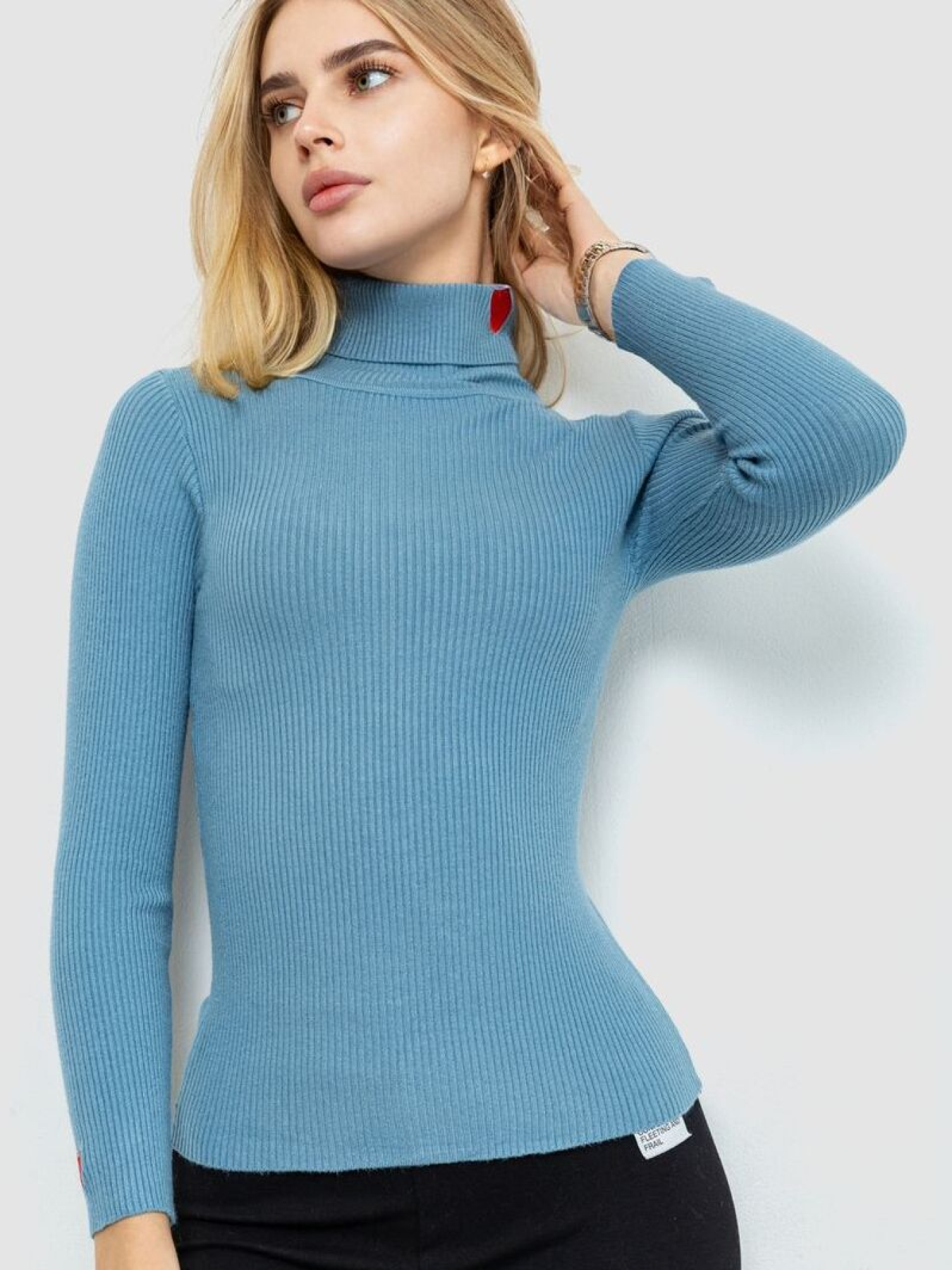 Водолазка Ager модель У-1126212::У-0002878 Фото