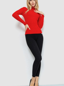 Водолазка Ager модель У-1126212::000000050 Фото