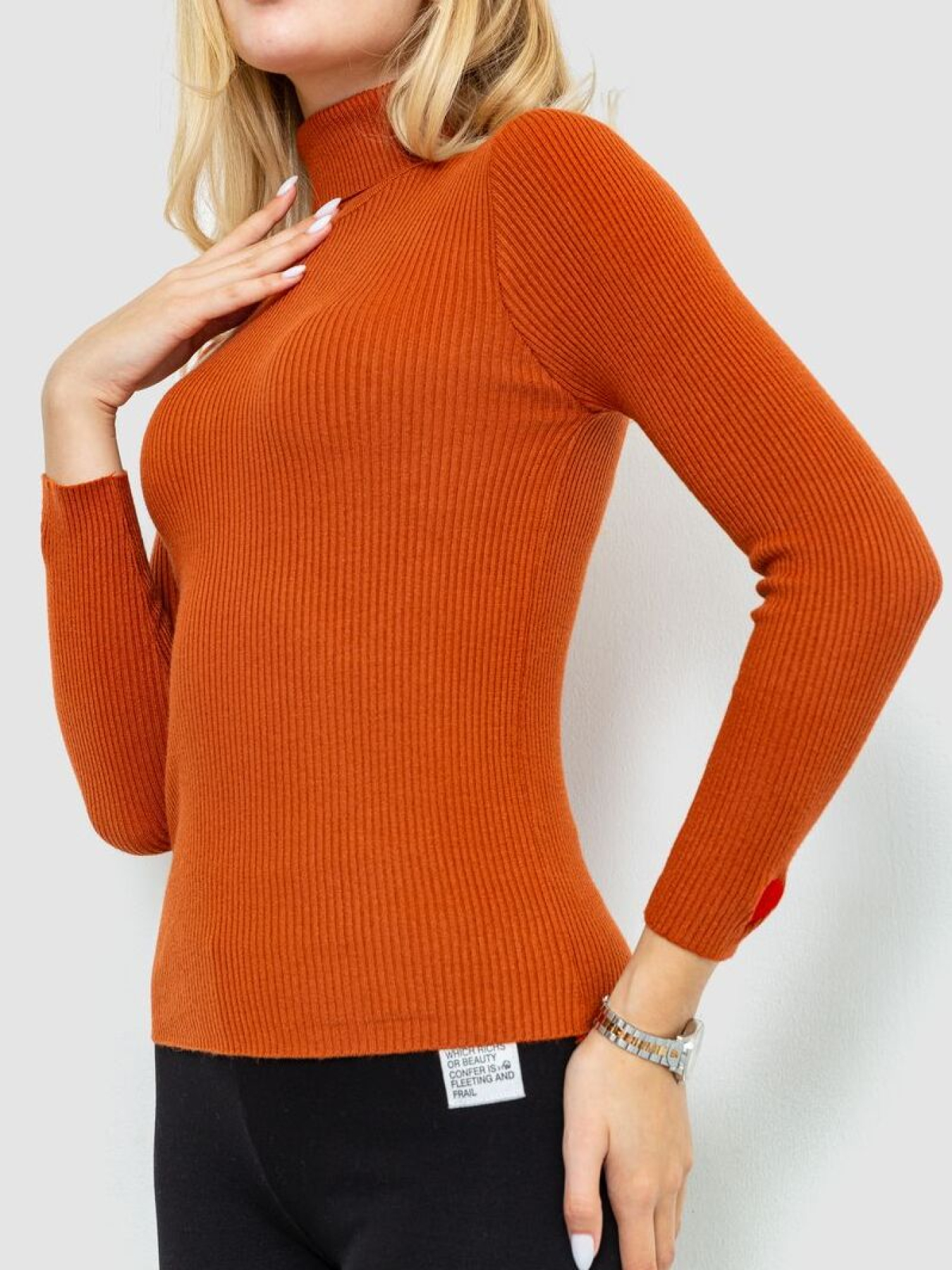 Водолазка Ager модель У-1126212::000000092 Фото