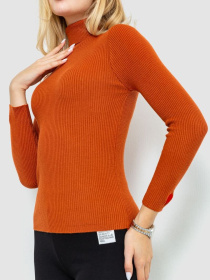 Водолазка Ager модель У-1126212::000000092 Фото