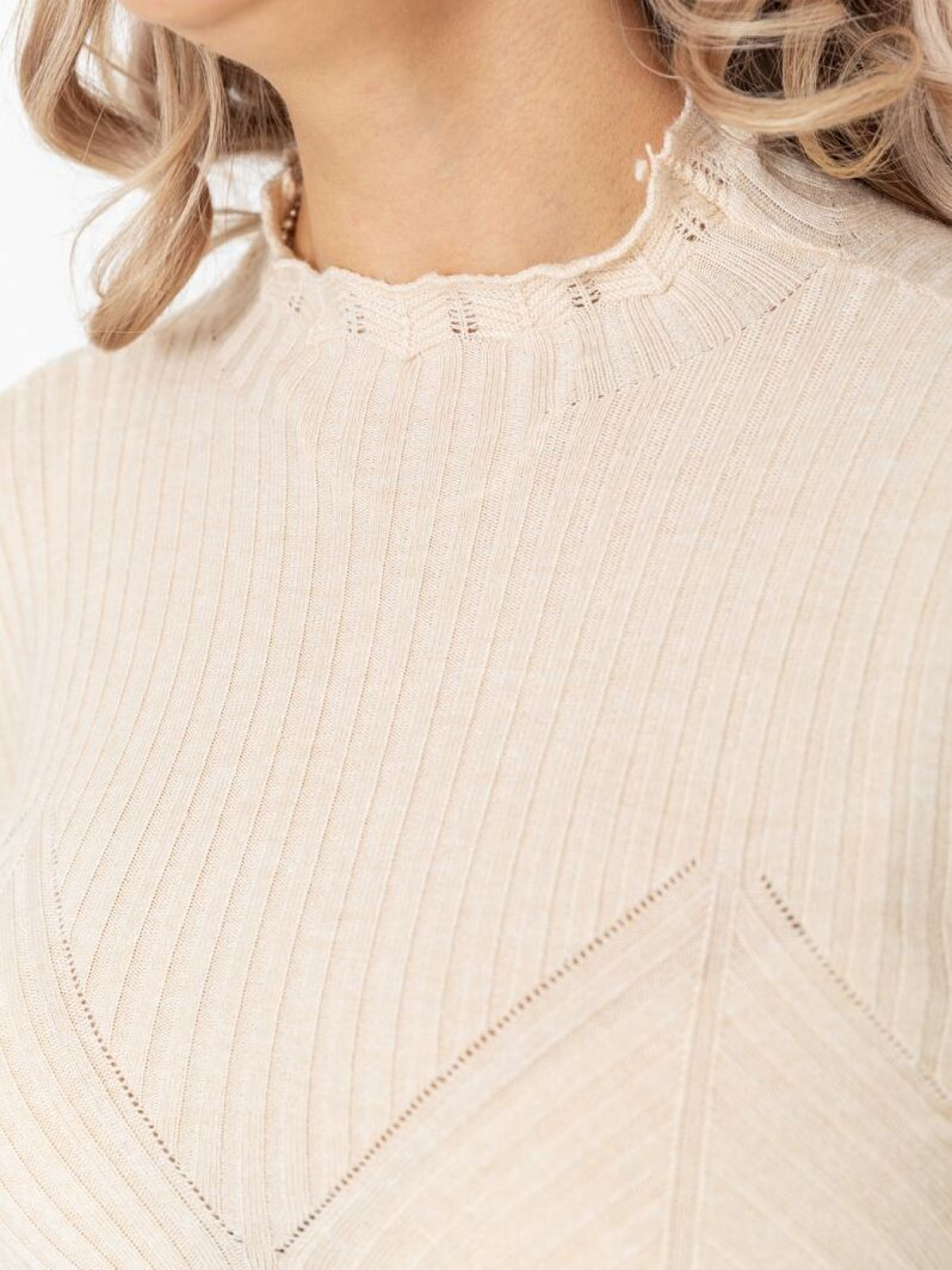 Водолазка Ager модель У-1126214::010001505 Фото