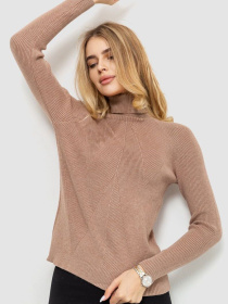 Водолазка Ager модель У-1126305::000000226 Фото