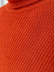 Водолазка Ager модель У-1121650::000000092 Фото