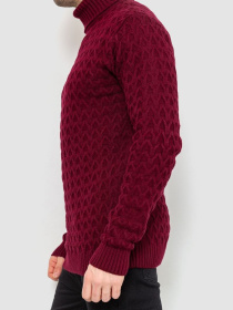 Водолазка Ager модель У-1126548::000000029 Фото