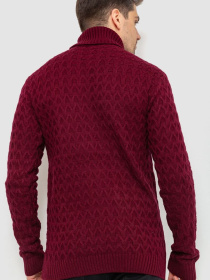 Водолазка Ager модель У-1126548::000000029 Фото