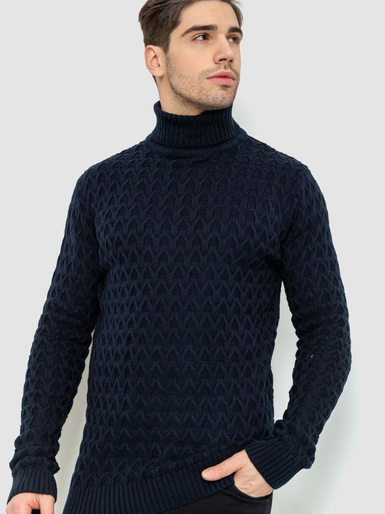 Водолазка Ager модель У-1126548::000000090 Фото