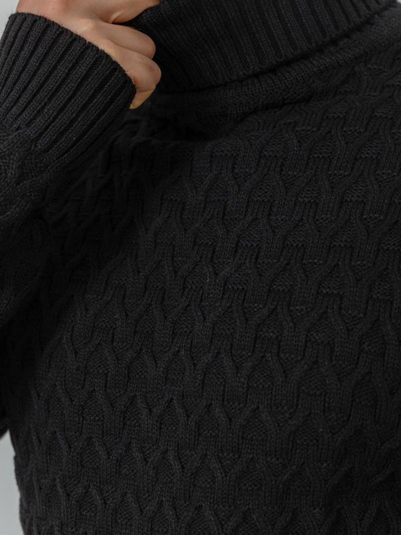 Водолазка Ager модель У-1126548::000000096 Фото