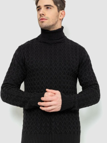 Водолазка Ager модель У-1126548::000000096 Фото