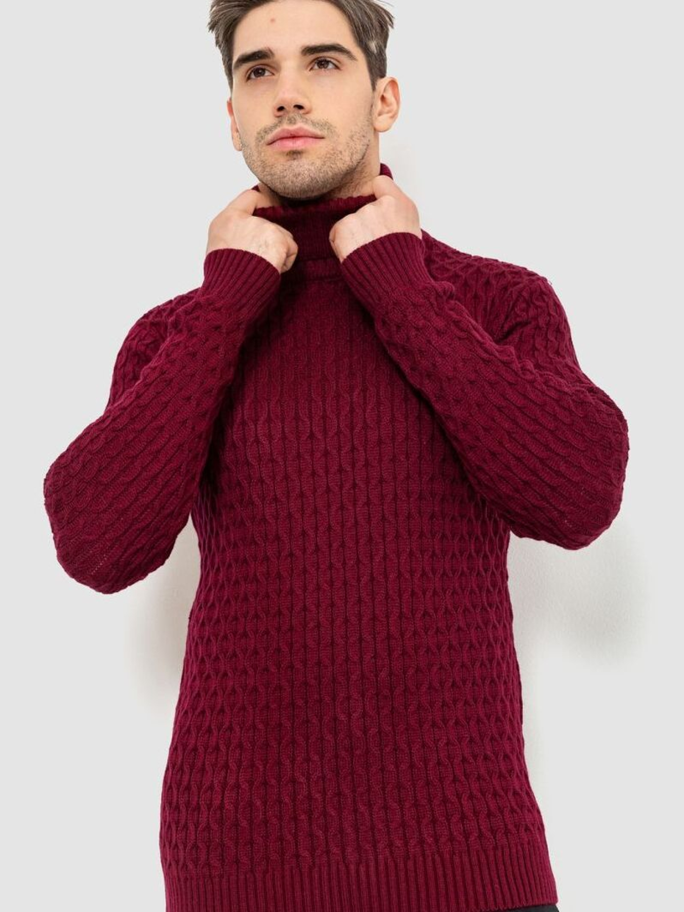 Водолазка Ager модель У-1126546::000000029 Фото