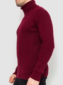 Водолазка Ager модель У-1126546::000000029 Фото