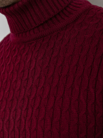 Водолазка Ager модель У-1126546::000000029 Фото